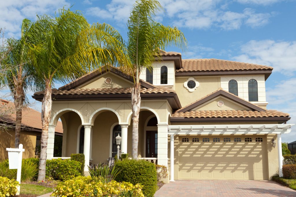 entretien des palmiers