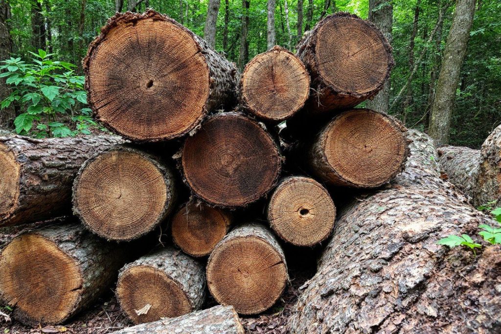 Combien pèse un stère de bois : le guide des poids