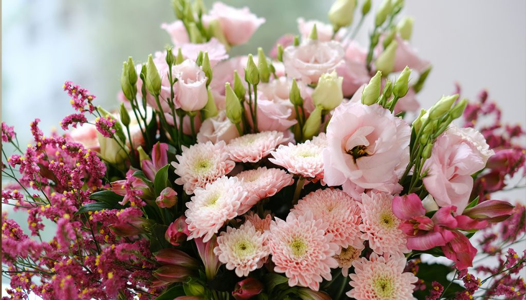 découvrez le catalogue complet de monceau fleurs, explorez la présentation de cette marque renommée, lisez les avis clients et plongez dans l'historique de ses bouquets et compositions florales.