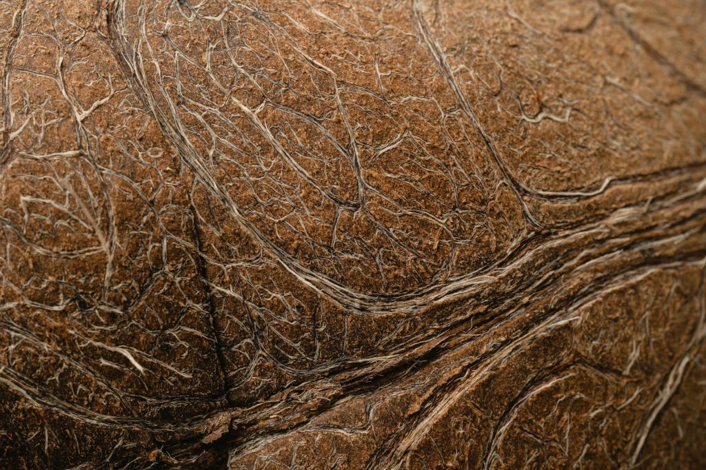 Cuir qui s’effrite causes, réparations — surface en cuir craquelé gros plan