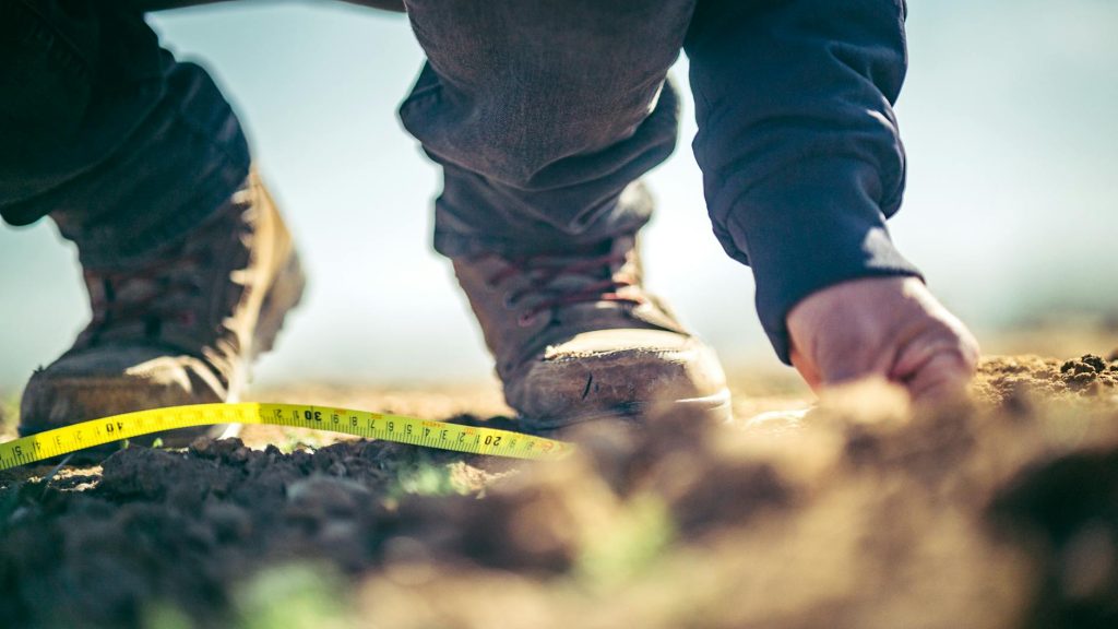 Densité du terreau pourquoi c’est — outils de mesure de densité du sol