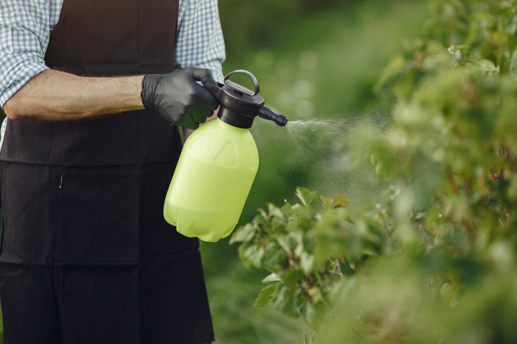 Dosage de Roundup pour 5 — bouteille de Roundup et pulvérisateur de jardin