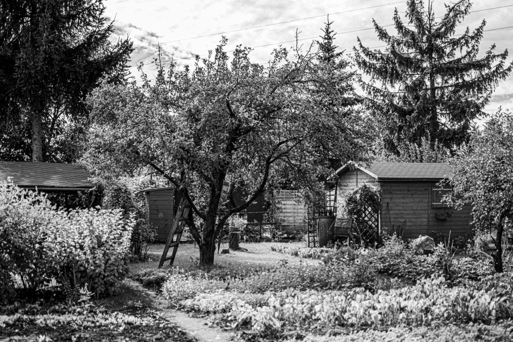 Peut-on mettre 2 abris de — deux abris de jardin dans un jardin