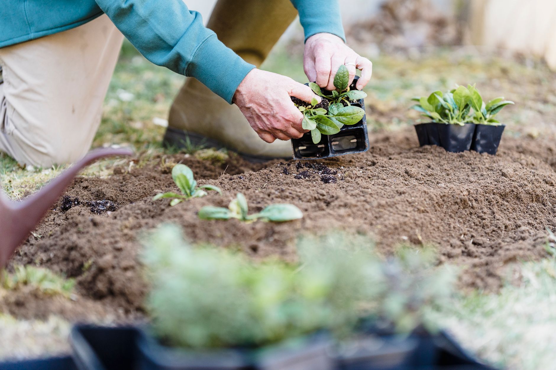 Travaux de base au jardin en avril : sol, météo et organisation des semis — jardin semis de jeunes plants avril