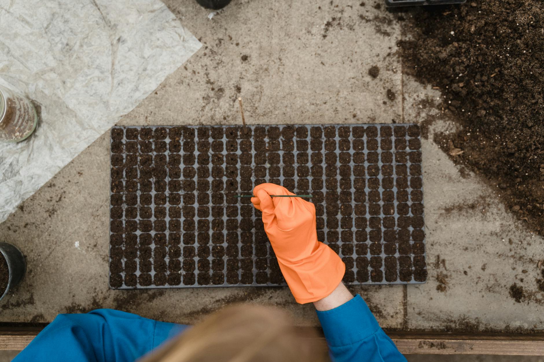Travaux de jardinage en février : organiser ses priorités sans se disperser — préparation du jardin hiver semis