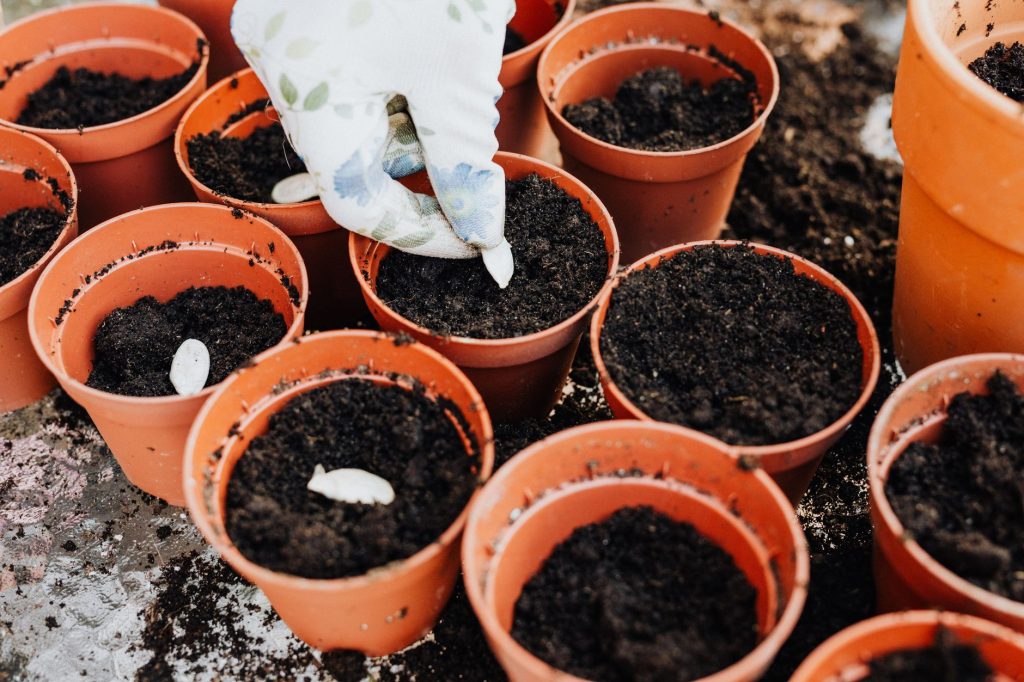 Que faire au jardin en — préparation du jardin hiver semis