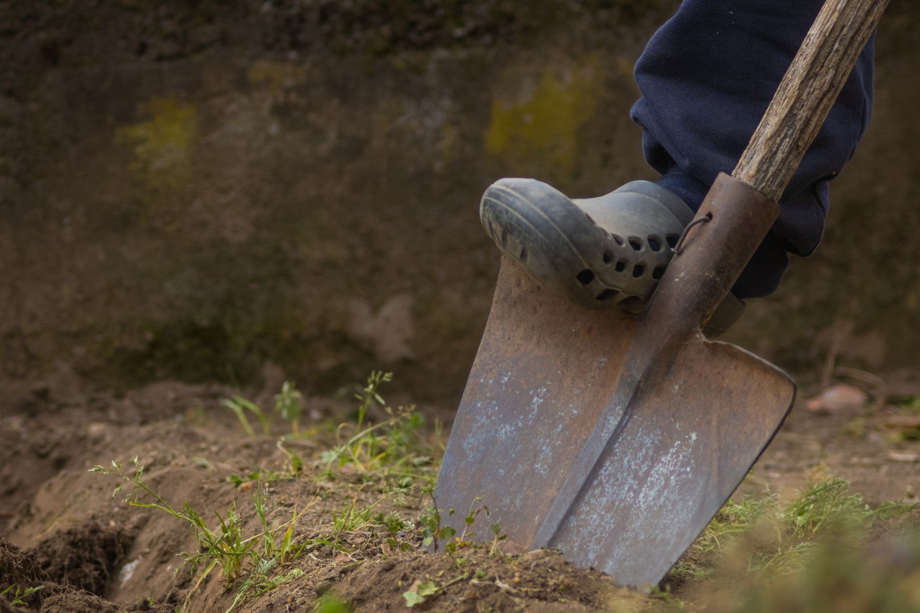 Que faire au potager en novembre pour préparer l’hiver et le printemps suivant — préparation jardin automnal plantation