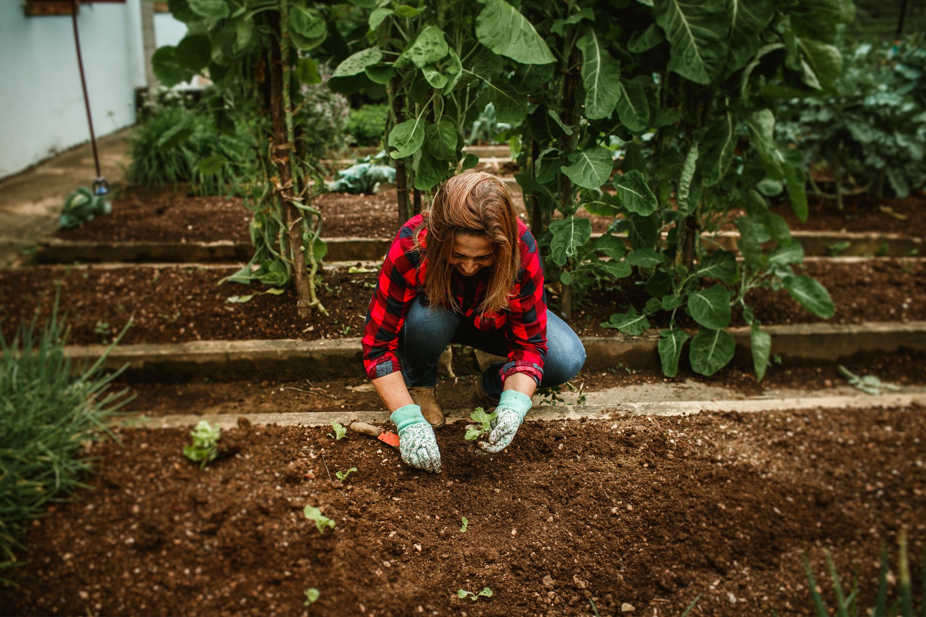 Évaluer le volume de terreau au mètre carré pour un potager productif — préparation du sol pour potager