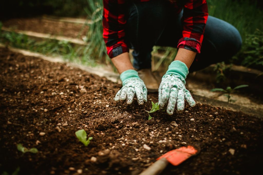 Combien de terreau au m² — préparation du sol pour potager