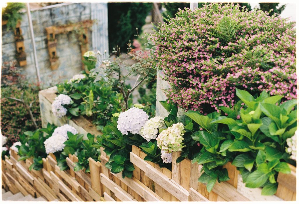 Comment clôturer son jardin pas — clôture en bois avec plantes