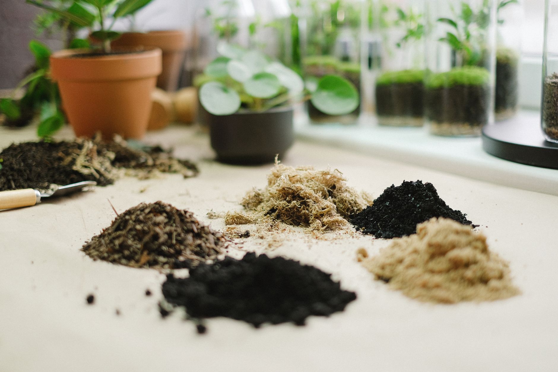 Marc de café et jardinage naturel : comprendre ce que c’est vraiment et ce que ça apporte au sol — marc de café dans le jardin