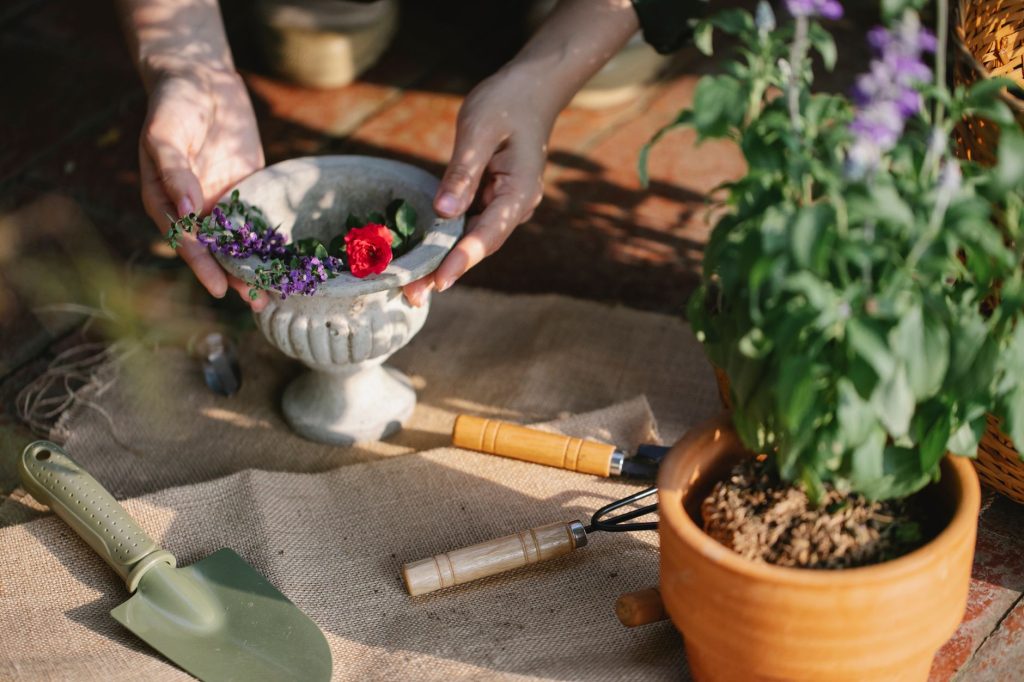 Que faire au jardin en — jardin plantation fleurs légumes mai