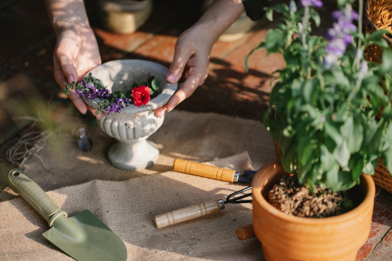 Que faire au jardin en mai : plantations, tailles et entretien