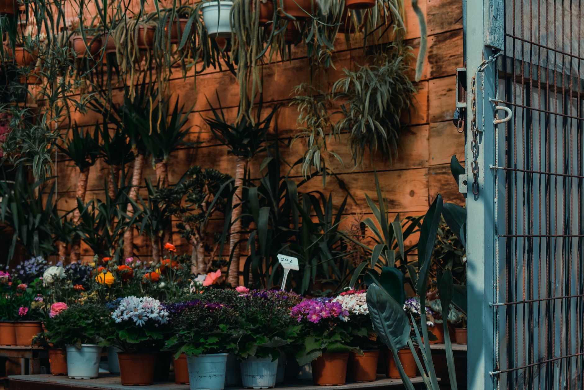 Combien de magasins Botanic en France et comment ce chiffre a évolué — magasin Botanic jardin extérieur