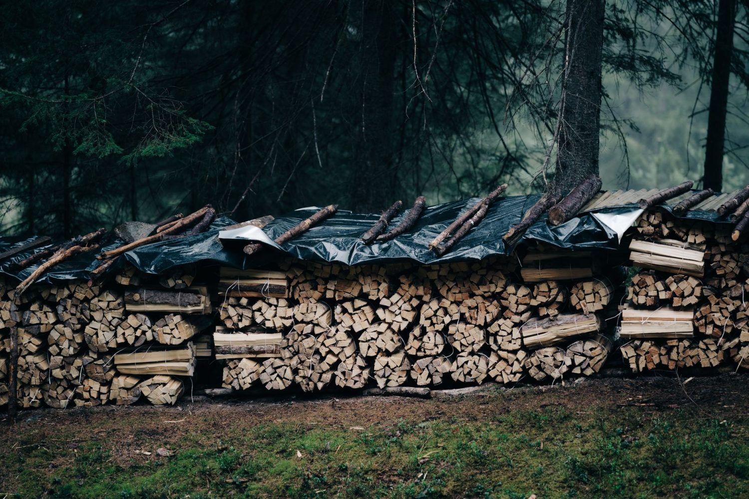 Bois de chauffage qui a pris la pluie : est-il encore utilisable ?