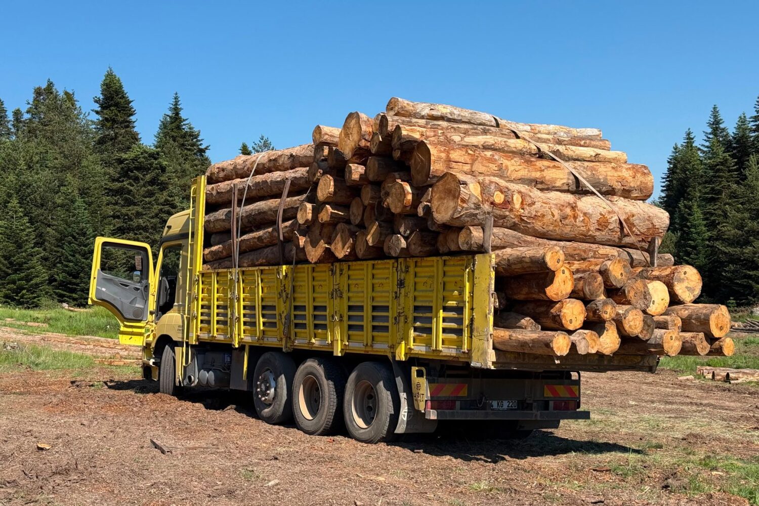 Prix d’un semi-remorque de bois de chauffage en 2 m : budgets et volumes