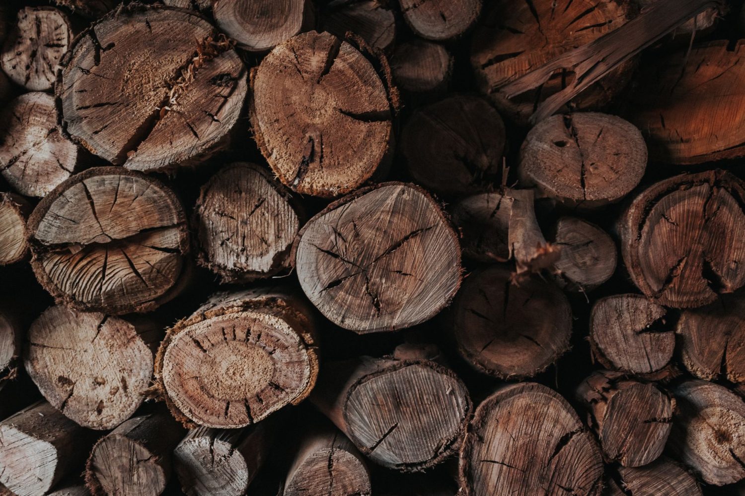 Tableau de classement du bois de chauffage : essences, pouvoir calorifique et usages